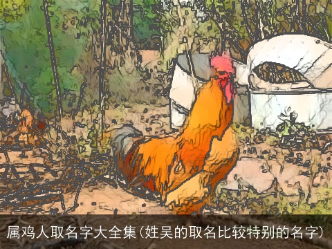 属鸡人取名字大全集(姓吴的取名比较特别的名字)