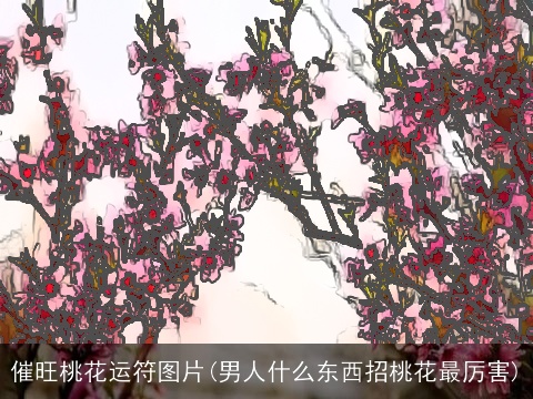 催旺桃花运符图片(男人什么东西招桃花最厉害)