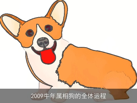 2009牛年属相狗的全体运程