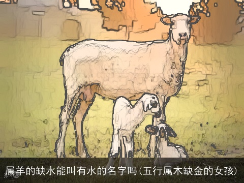 属羊的缺水能叫有水的名字吗(五行属木缺金的女孩)