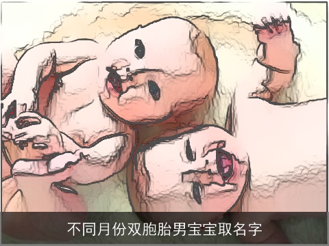 不同月份双胞胎男宝宝取名字