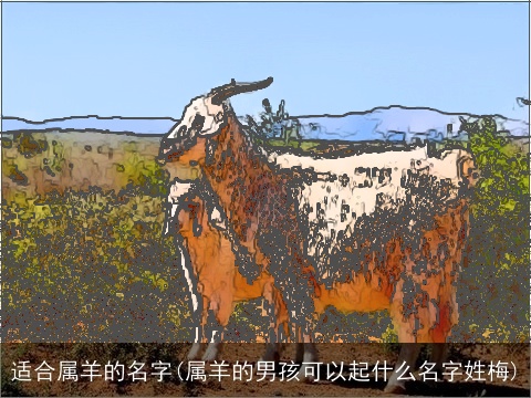 适合属羊的名字(属羊的男孩可以起什么名字姓梅)