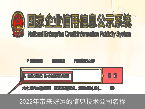 2022年带来好运的信息技术公司名称