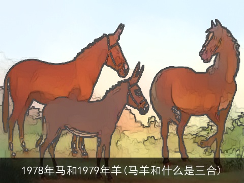 1978年马和1979年羊(马羊和什么是三合)