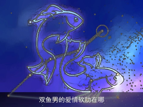 双鱼男的爱情软肋在哪