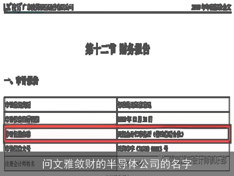 问文雅敛财的半导体公司的名字