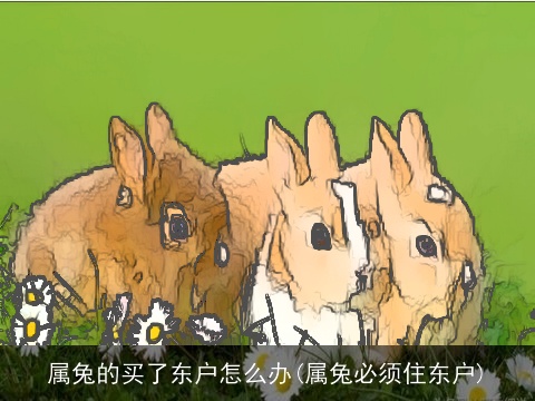 属兔的买了东户怎么办(属兔必须住东户)