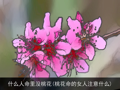 什么人命里没桃花(桃花命的女人注意什么)