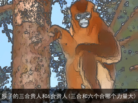 猴子的三合贵人和6合贵人(三合和六个合哪个力量大)