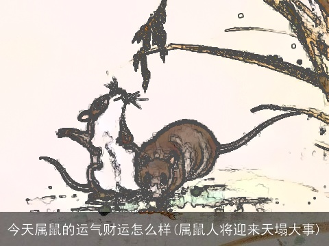 今天属鼠的运气财运怎么样(属鼠人将迎来天塌大事)