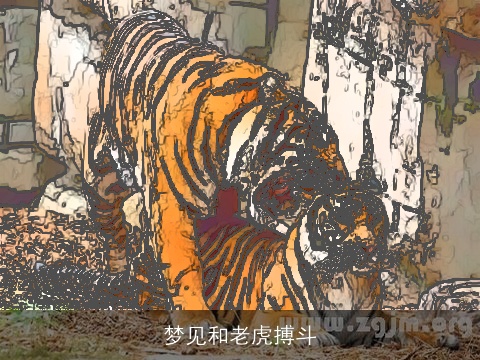 梦见和老虎搏斗