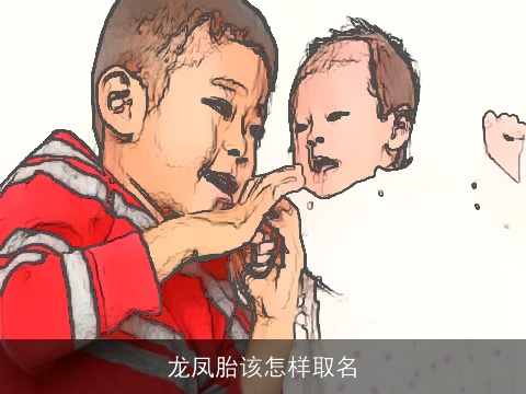 龙凤胎该怎样取名