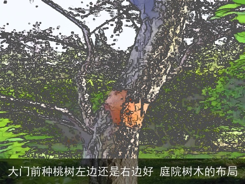 大门前种桃树左边还是右边好 庭院树木的布局