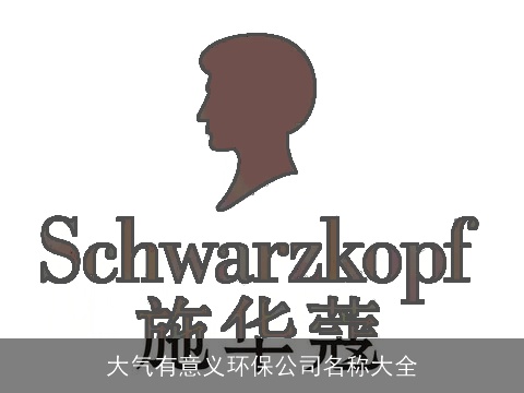 大气有意义环保公司名称大全