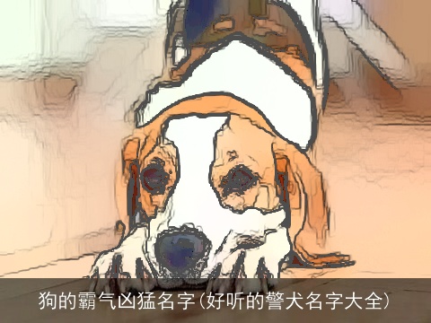 狗的霸气凶猛名字(好听的警犬名字大全)