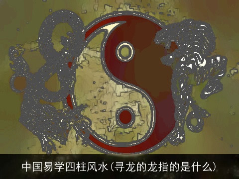 中国易学四柱风水(寻龙的龙指的是什么)