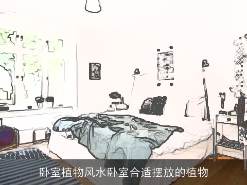 卧室植物风水卧室合适摆放的植物