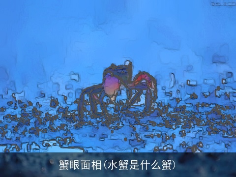 蟹眼面相(水蟹是什么蟹)