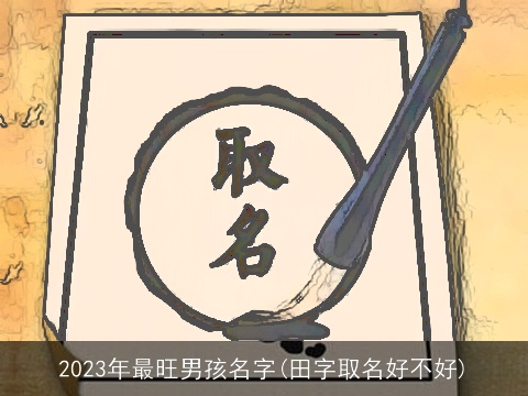 2023年最旺男孩名字(田字取名好不好)