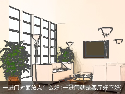 一进门对面放点什么好(一进门就是客厅好不好)