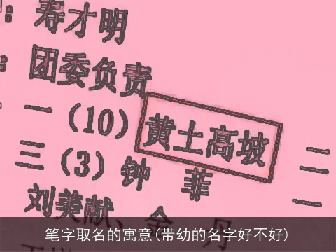 笔字取名的寓意(带幼的名字好不好)