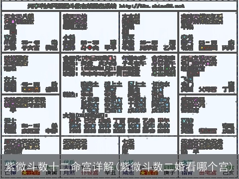 紫微斗数十二命宫详解(紫微斗数二婚看哪个宫)