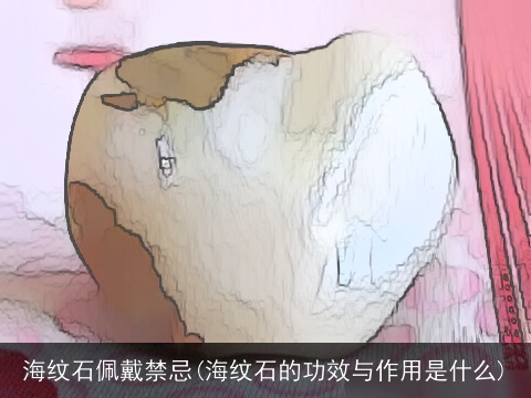 海纹石佩戴禁忌(海纹石的功效与作用是什么)