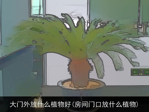 大门外放什么植物好(房间门口放什么植物)