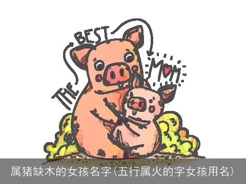 属猪缺木的女孩名字(五行属火的字女孩用名)