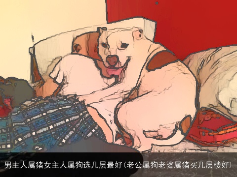 男主人属猪女主人属狗选几层最好(老公属狗老婆属猪买几层楼好)