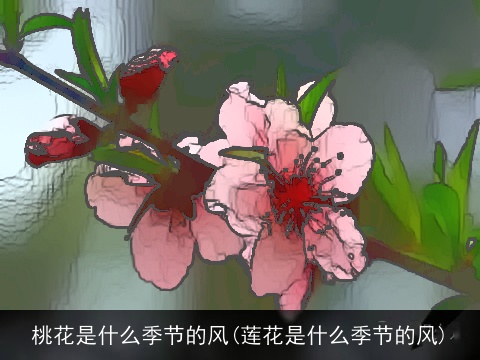 桃花是什么季节的风(莲花是什么季节的风)