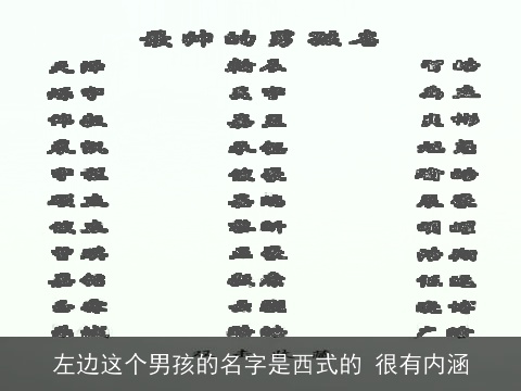 左边这个男孩的名字是西式的 很有内涵