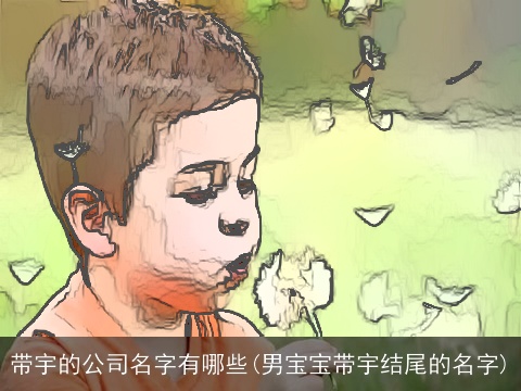 带宇的公司名字有哪些(男宝宝带宇结尾的名字)