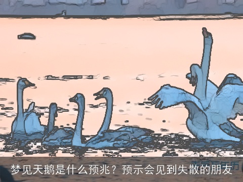 梦见天鹅是什么预兆？预示会见到失散的朋友
