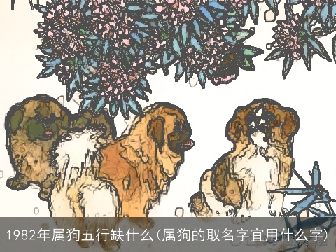 1982年属狗五行缺什么(属狗的取名字宜用什么字)