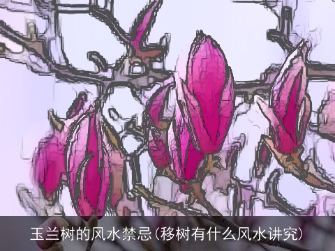 玉兰树的风水禁忌(移树有什么风水讲究)