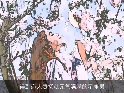 得到恋人赞扬就元气满满的星座男