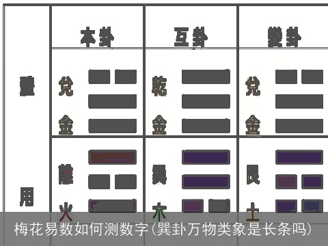 梅花易数如何测数字(巽卦万物类象是长条吗)