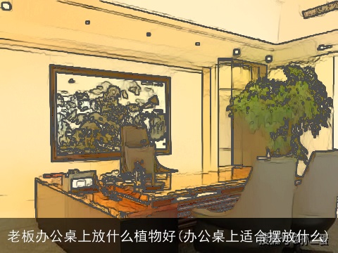老板办公桌上放什么植物好(办公桌上适合摆放什么)