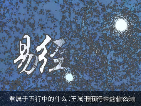 君属于五行中的什么(王属于五行中的什么)