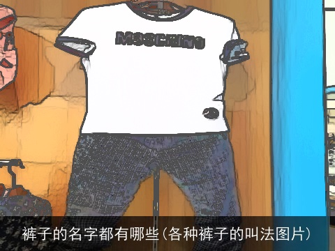 裤子的名字都有哪些(各种裤子的叫法图片)