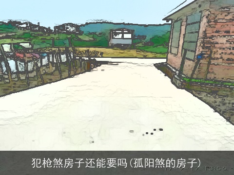 犯枪煞房子还能要吗(孤阳煞的房子)