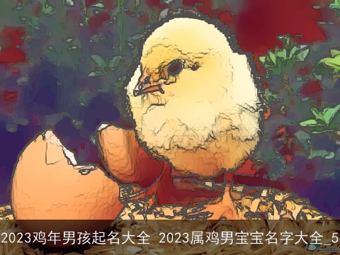2023鸡年男孩起名大全 2023属鸡男宝宝名字大全_5