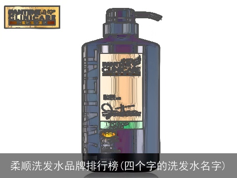 柔顺洗发水品牌排行榜(四个字的洗发水名字)