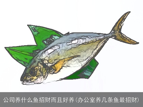 公司养什么鱼招财而且好养(办公室养几条鱼最招财)