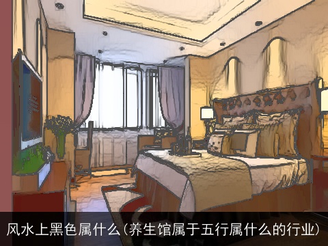 风水上黑色属什么(养生馆属于五行属什么的行业)