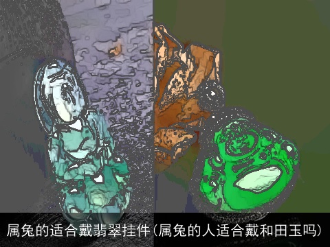 属兔的适合戴翡翠挂件(属兔的人适合戴和田玉吗)