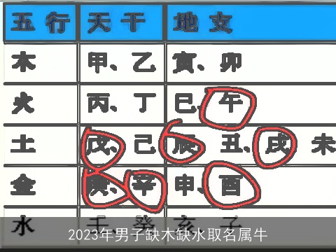 2023年男子缺木缺水取名属牛
