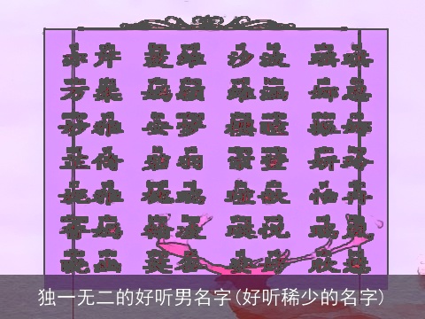 独一无二的好听男名字(好听稀少的名字)