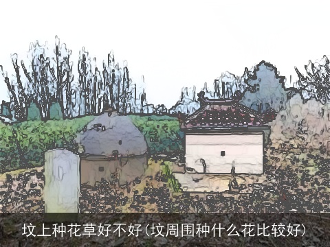 坟上种花草好不好(坟周围种什么花比较好)
